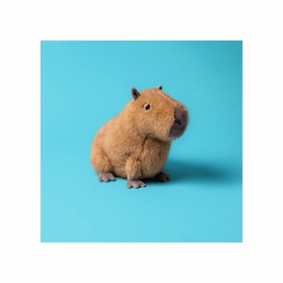 Jellycat Clyde Capybara USA | 34956UKTR